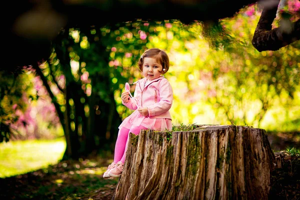 Ein Kleines Schönes Mädchen Rosa Kleidern Sitzt Auf Einem Baumstumpf — Stockfoto