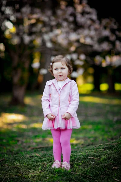 Ein Kleines Schönes Mädchen Mit Blauen Augen Das Einem Rosa — Stockfoto