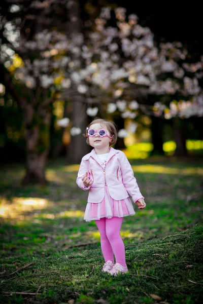 Ein Kleines Schönes Mädchen Mit Blauen Augen Das Einem Rosa — Stockfoto