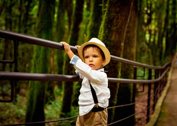 在萨法里公园散步的小男孩帽 — 图库照片