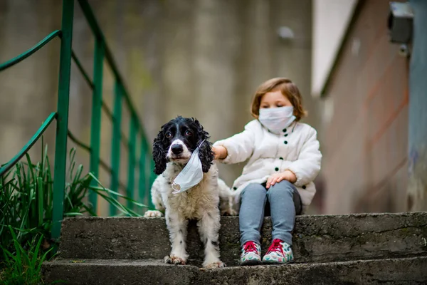 Tıbbi maskeli küçük bir kız covid-19 salgını sırasında bir köpekle bahçede yürür.