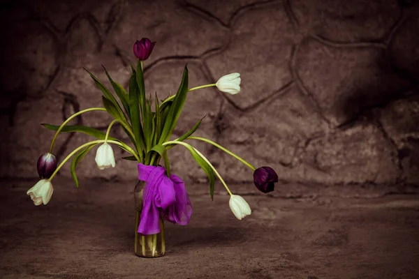 Bouquet Fresh White Purple Tulips Vase Background Old Wall — Stock Photo, Image
