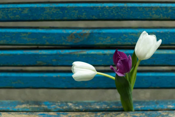 Blauer Hölzerner Alter Schäbiger Hintergrund Mit Frischen Blumen Und Tulpen — Stockfoto