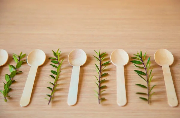 Eco Friendly Disposable Food Items Made Light Wood — Stock Photo, Image