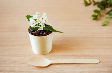 Kahve çekirdekleri, tek kullanımlık, çevre dostu tabaklarda. Plastiksiz. Hafif, ahşap arka plan..