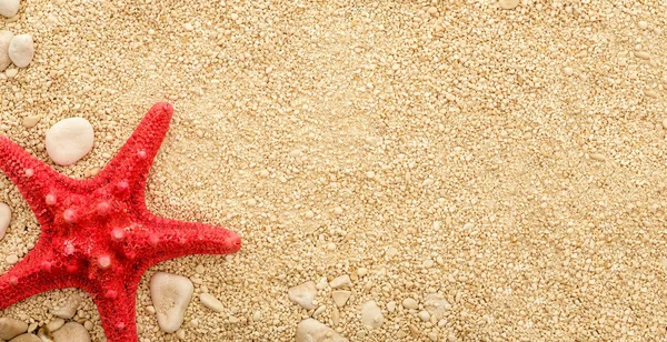 Starfish on the coastal sand. — Stock Photo, Image