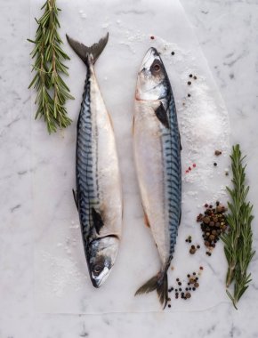 Taze çiğ balık uskumru taze otlar ve baharatlar ile masada