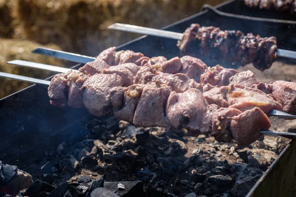 Marinated pork shashlik preparing on a barbecue grill over charc — Stock Photo, Image