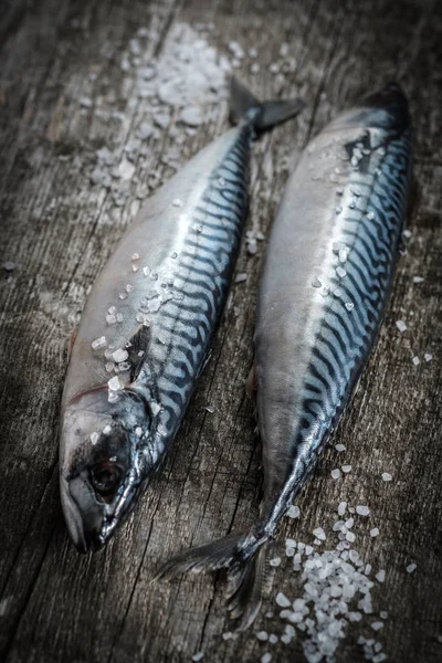 Sgombri freschi di pesce crudo su un tavolo di legno. Stile rustico — Foto Stock