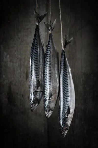 Tre makrill hängande på ett rep, redo för matlagning i en smokeho — Stockfoto