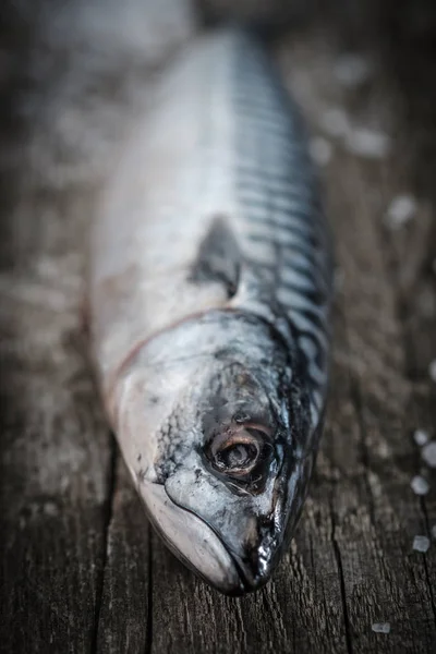 Färsk rå fisk makrill på ett träbord. — Stockfoto