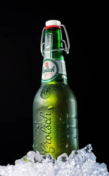 Botella de cerveza GROLSH. La cervecería Grolsch fue fundada en 1615 i —  Fotos de Stock