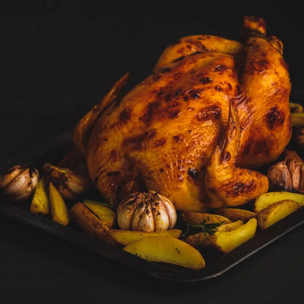 Roasted chicken with potatoes and garlic on a baking sheet, retr