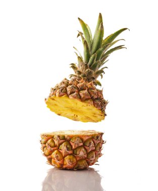 Beyaz arka planda uçuşan taze, sulu bir çam yaprağı. Ananas havalanması