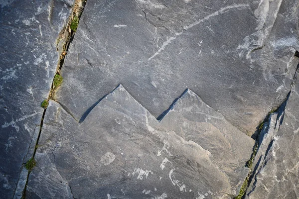 Gray stone surface with patterns and cracks in which moss sprouted — Stock Photo, Image