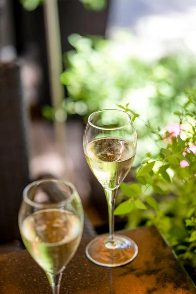 Two glasses of white wine on summer terrace bokeh leaf sunlight