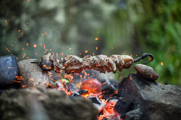 Şişte pişirilmiş biftek kebabı Ormanda gün ışığında şenlik ateşinde barbekü kıvılcımları yakar