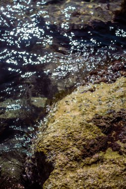 Eski Budva Kasabası Denizi Karadağ yaz tatili gezisine çıktı