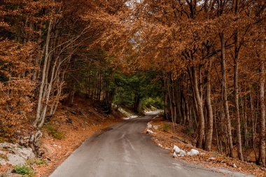 Lovcen Cetinje Karadağ tatil gezisi İlkbahar doğa köyü tepeleri
