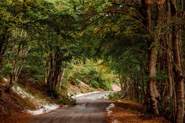 Lovcen Cetinje Черногория Отдых Путешествие Весной Летом Природа Деревня Холмы — стоковое фото