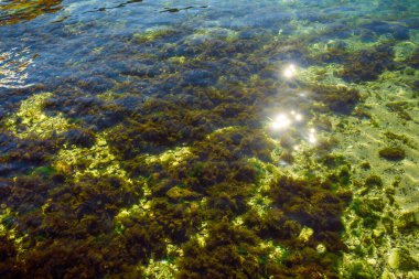 Deniz dağları teknesi Dobrota Karadağ yaz gezisi bahar doğa gezisi kenti