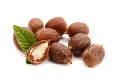 kestane healtyh ve mevsimlik foo kavramı gibi açık renkli birçok bulanıklık