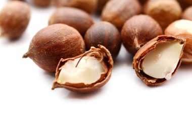 Beyaz arka plan üzerinde kabuk ile ham fındık