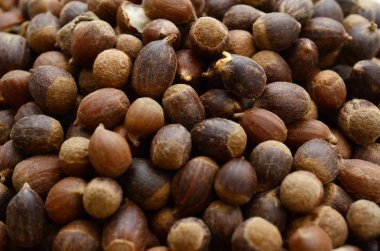 Beyaz arka plan üzerinde izole fındık closeup görünümü