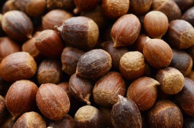 Beyaz arka plan üzerinde izole fındık closeup görünümü