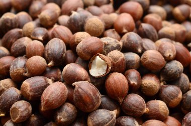 Beyaz arka plan üzerinde soyulmamış fındık 