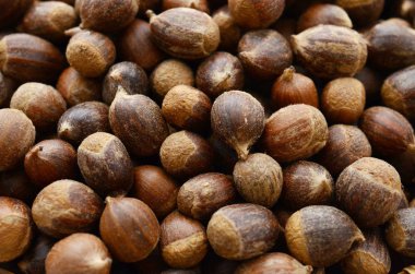 beyaz zemin üzerine lezzetli fındık 