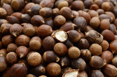 Beyaz arka plan üzerinde soyulmamış fındık