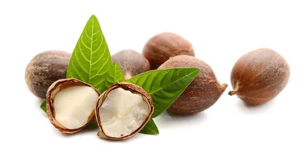 Kacang Hazelnut Lezat Pada Latar Belakang Putih — Stok Foto