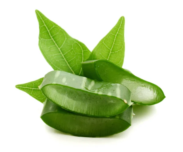 Aloe Vera Latar Belakang Putih — Stok Foto