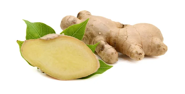 Ginger Root Isolated White Background — Stock Photo, Image