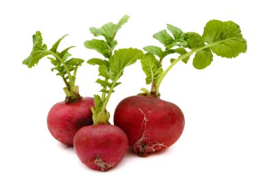 Yapraklarla beyaz zemin üzerine kırmızı salata redish. 
