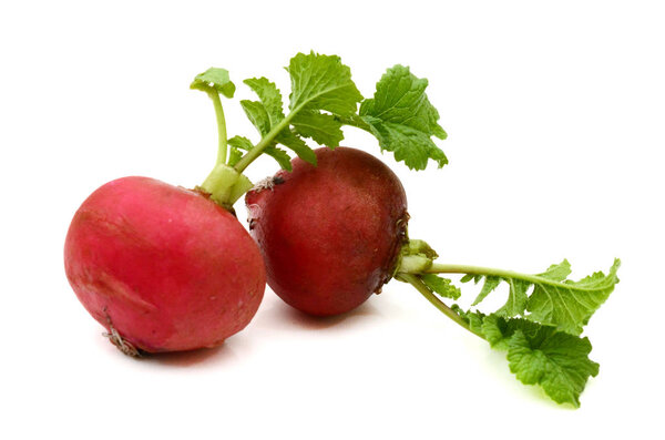 Whole beet root with leaves isolated on white background. Package design element with clipping path 