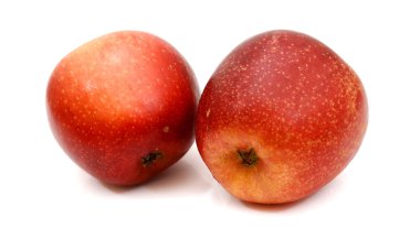 Elma izole. Dal üzerinde kırmızı ve sarı sulu elma ve beyaz arka planda izole yeşil yapraklar ambalaj için tasarım 