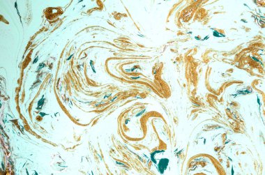 Yeşil ve altın sıvı doku. Elle çizilmiş Ebru arka plan. Mürekkep mermer soyut desen