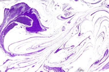 Mermer akrilik arka plan. Ebru sanat doku doğa. Altın glitter. 