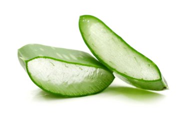 aloe vera izole taze yaprak beyaz arka plan