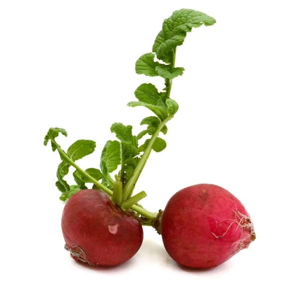 Fresh Red Radish Isolated White Bac — Stock Photo, Image