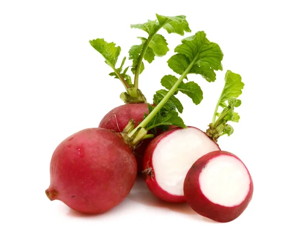 Bunch Fresh Radish Leaves Isolated White — Stock Photo, Image