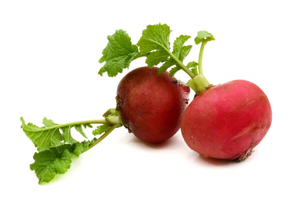 Bright fresh organic radishes with slices and green onions on cutting board