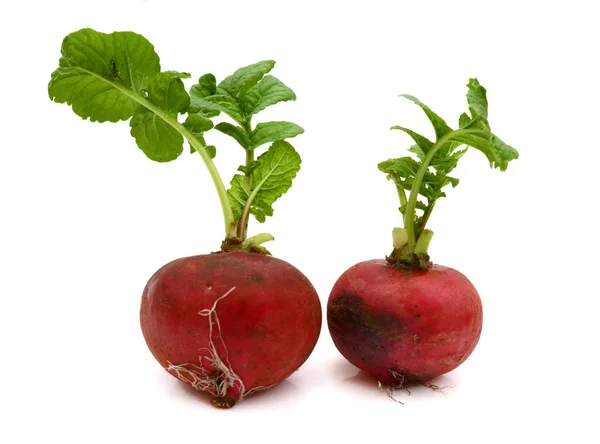 Verduras Rábano Rojo Con Hojas Verdes Sobre Blanco — Foto de Stock