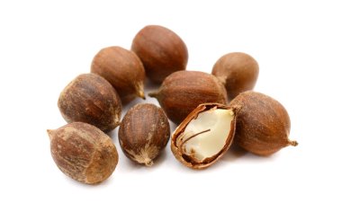 yakın çekim fındık fıstık izole beyaz arka plan üzerinde