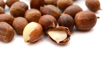 Beyaz arkaplanda fındık