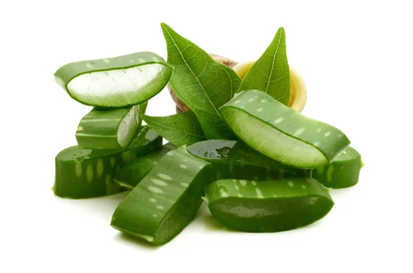 Aloe Vera Isolé Sur Fond Blanc — Photo