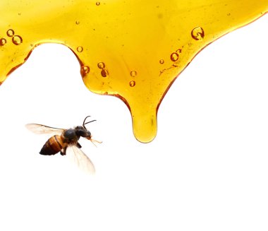 Tatlı bal vektör illüstrasyon 