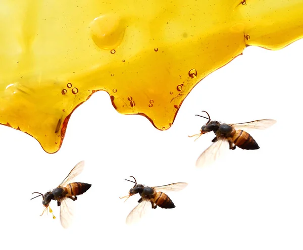 Honing Vlek Geïsoleerd Een Witte Achtergrond — Stockfoto